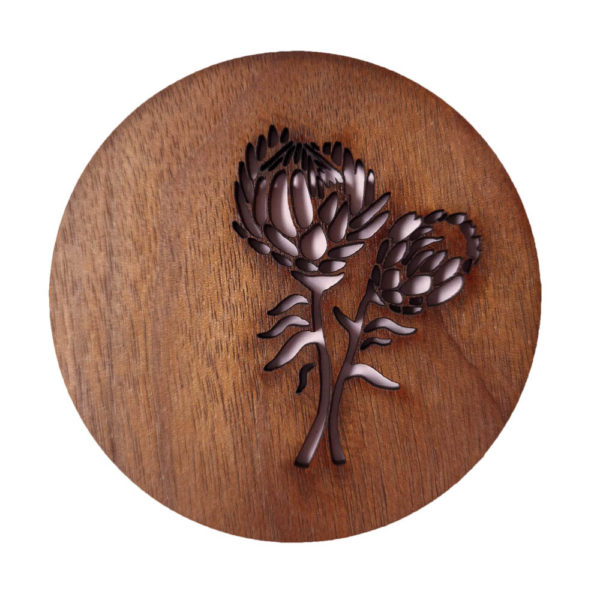 Protea Coaster